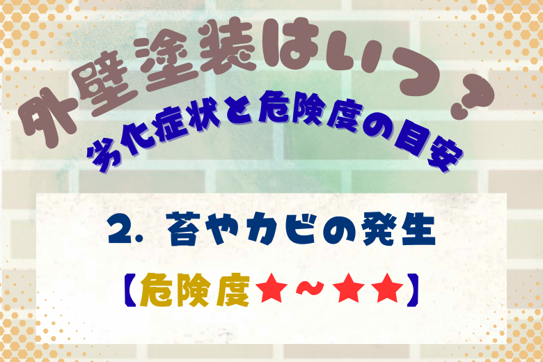 2. 苔やカビの発生【危険度★〜★★】